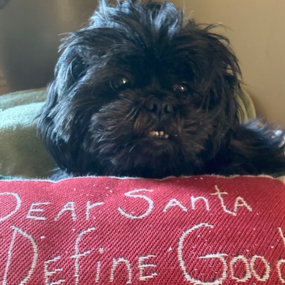 Tien Hsing Int'l Trading Co Holiday Ginger man Plate - Picture 5 of 5